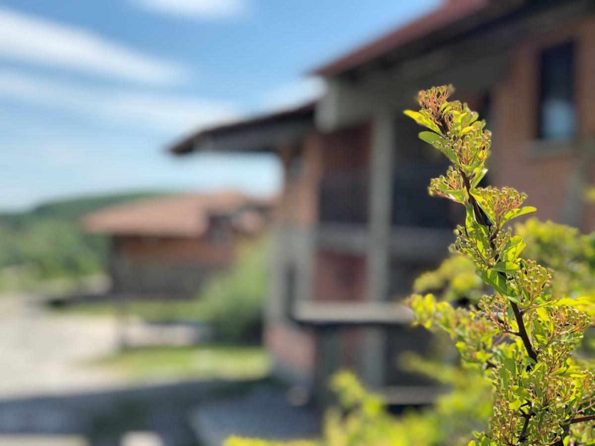 Hotel Pietrapanna Calvello エクステリア 写真