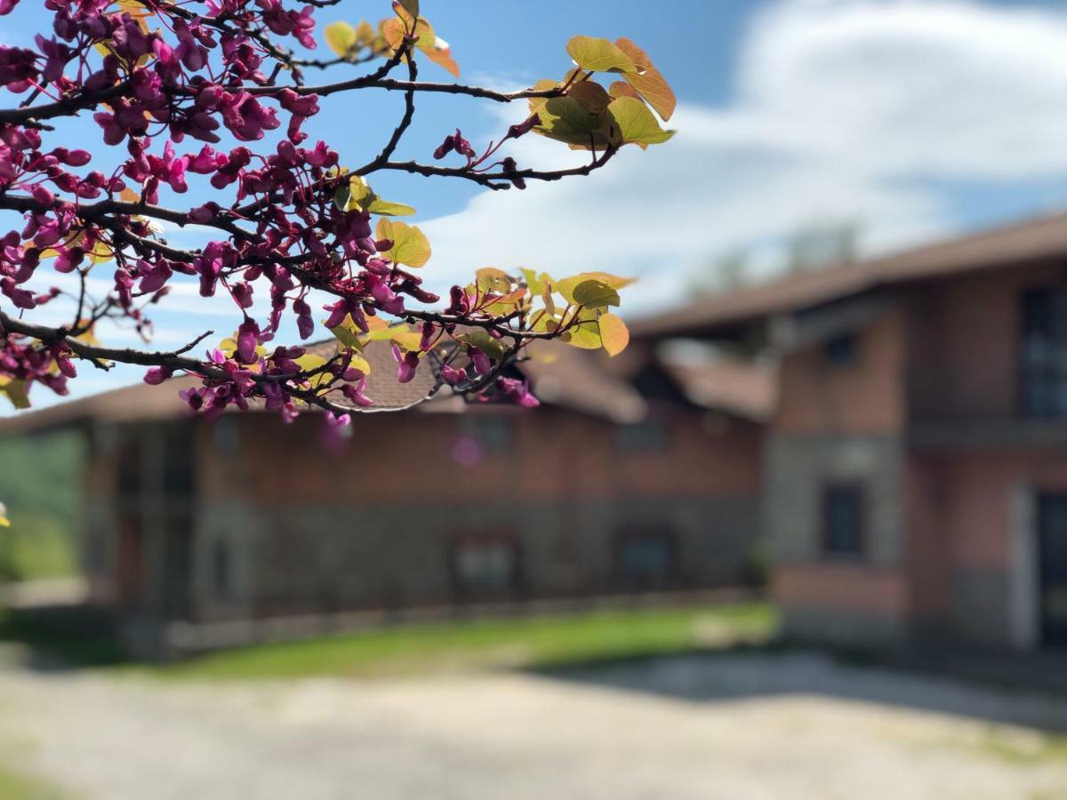 Hotel Pietrapanna Calvello エクステリア 写真